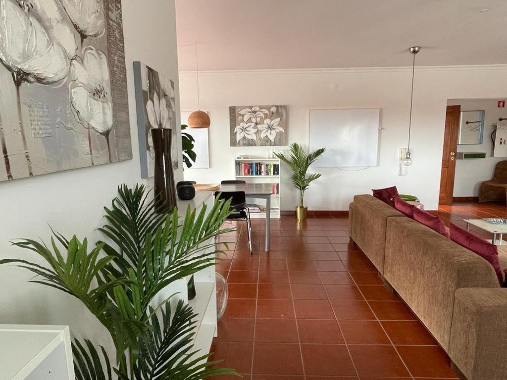 Penthouse Alentejana Apartment Вила Нова де Милфонтеш Екстериор снимка