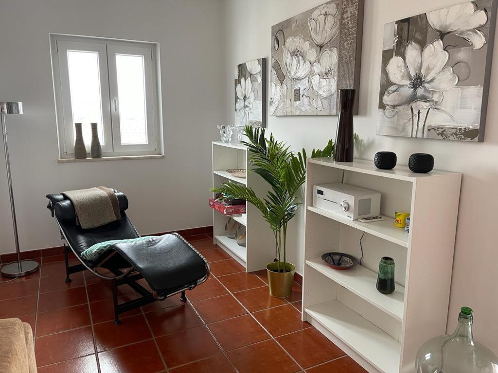 Penthouse Alentejana Apartment Вила Нова де Милфонтеш Екстериор снимка